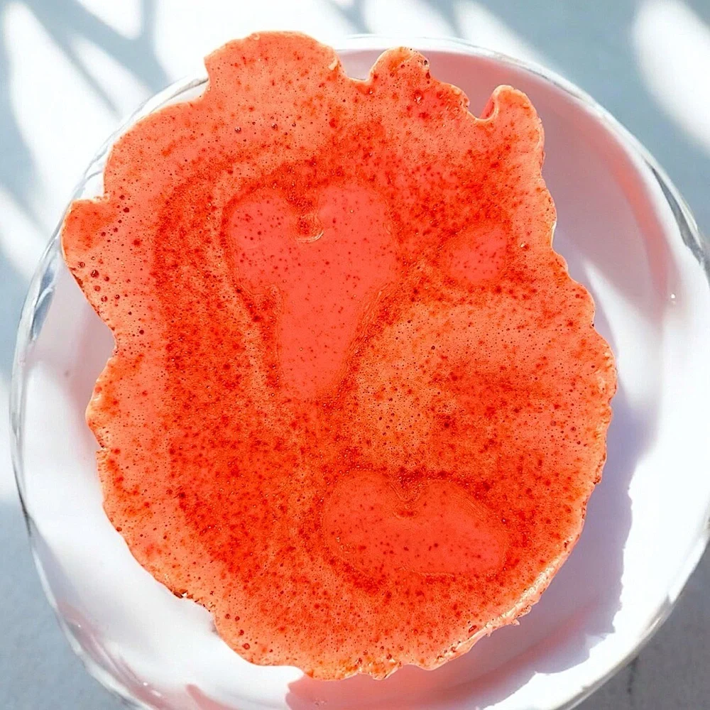 Cherry lime SHIMMER SOAP handmade 4x3in 5oz shea butter coconut oil based IT